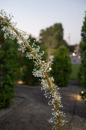 TSO_3564