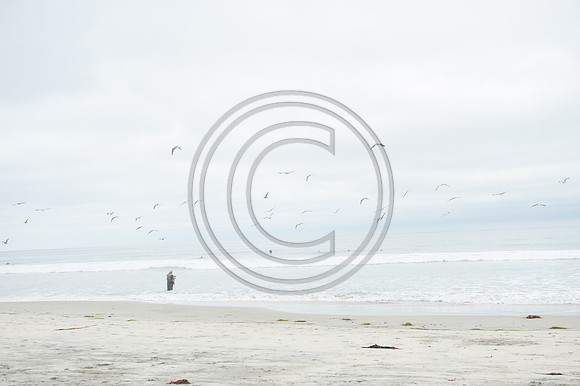0068_NRD2308