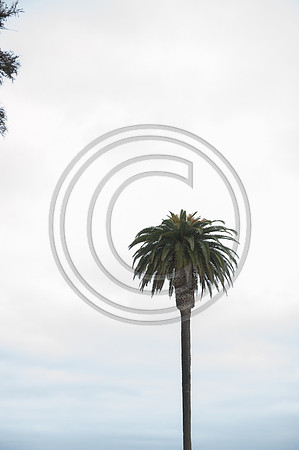0096_NRD2591