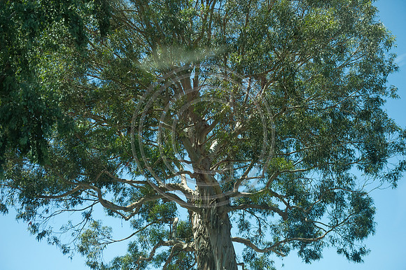 0118_NRD2706