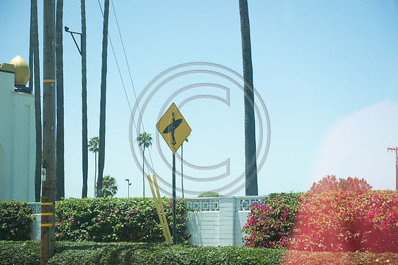 0125_NRD2724