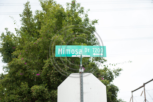 0017_NRD1983