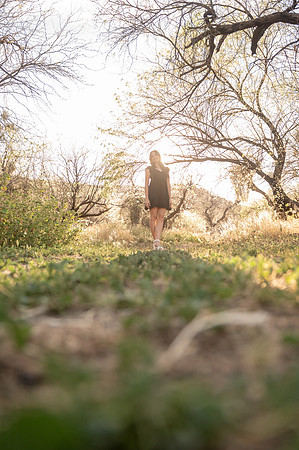 0007_TSO_6379