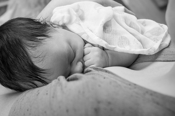 0115_DSC_8191