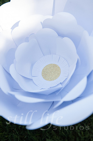 0257_FXC0814
