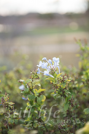 0187_BIL5494