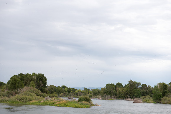 0658_FUZ7134