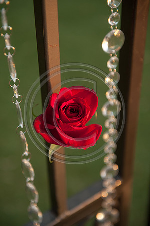 0470_JAK9844