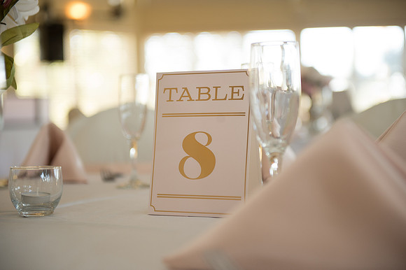 0237_BGT3419