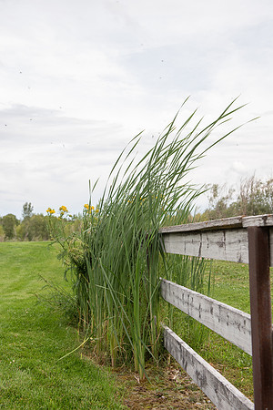 0659_FUZ7138