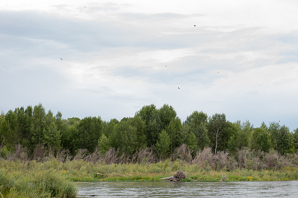 0657_FUZ7132